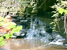 Photo detail
