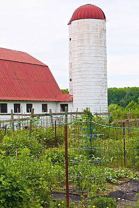 Photo detail
