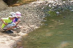 Photo detail