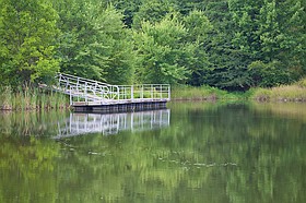 Photo detail