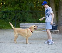photo thumbnail