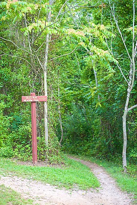 Photo detail