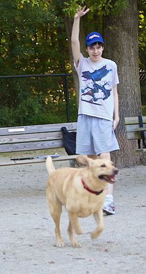 photo thumbnail