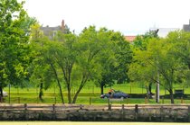 photo thumbnail