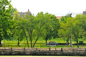 Photo detail