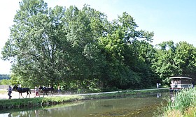 Photo detail