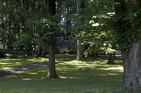 Photo detail