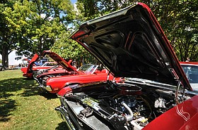 Photo detail