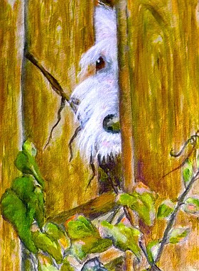 Photo detail