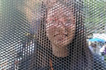 photo thumbnail
