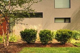 Photo detail