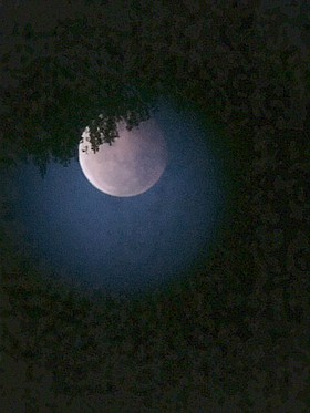 Photo detail