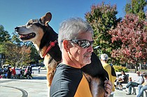 photo thumbnail