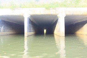 Photo detail