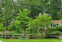photo thumbnail