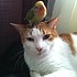 photo thumbnail