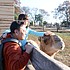 photo thumbnail