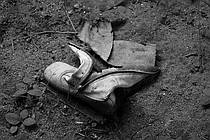 photo thumbnail