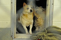 photo thumbnail