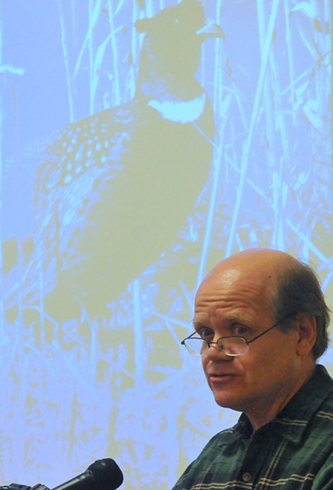 Photo detail
