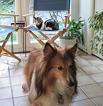 photo thumbnail