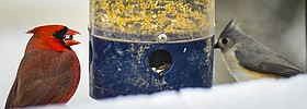 Photo detail