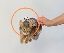 photo thumbnail