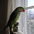 photo thumbnail