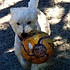 photo thumbnail