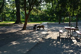 Photo detail