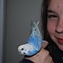 photo thumbnail
