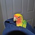 photo thumbnail