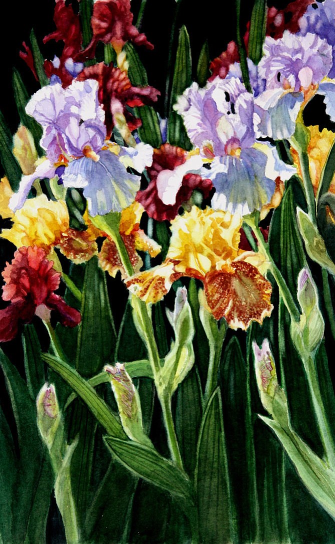 Photo detail
