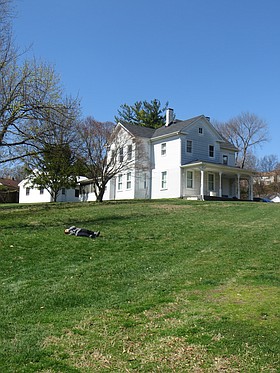 Photo detail