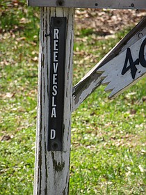 photo thumbnail