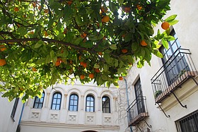 Photo detail