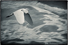 Photo detail