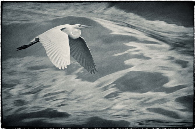 Photo detail