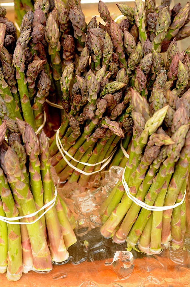 Photo detail