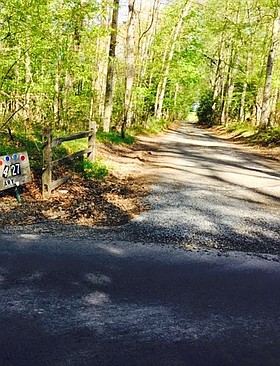 Photo detail