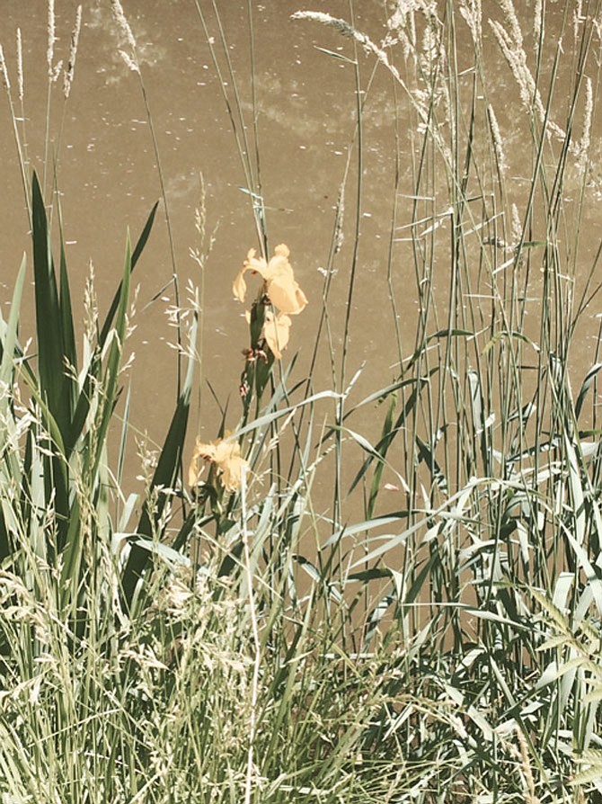 Photo detail