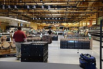 photo thumbnail