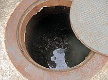 photo thumbnail