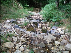 Photo detail