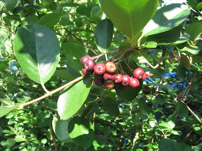 Photo detail
