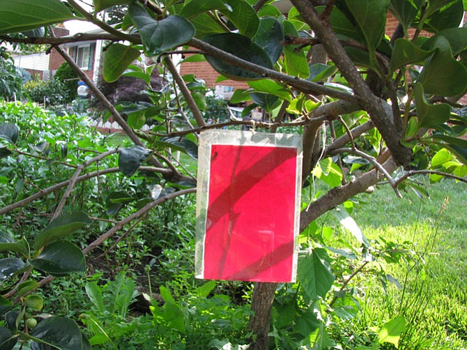 Photo detail