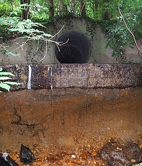 Photo detail