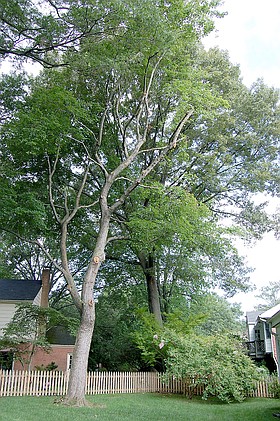 Photo detail
