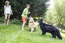 photo thumbnail
