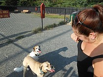 photo thumbnail